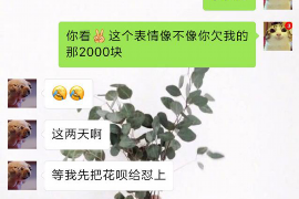 江都融资清欠服务